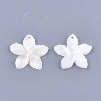 Flor concha natural blanca 34x32x4mm