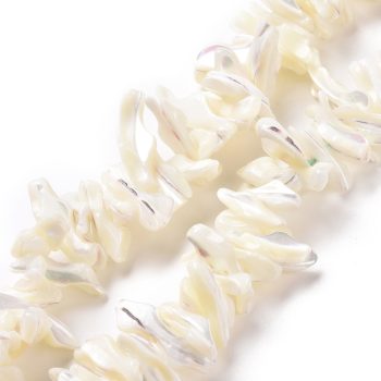 Concha natural trochid picada larga blanca 22x11x8mm